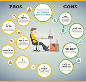 DIY Vs professional web developer in ghaziabad
