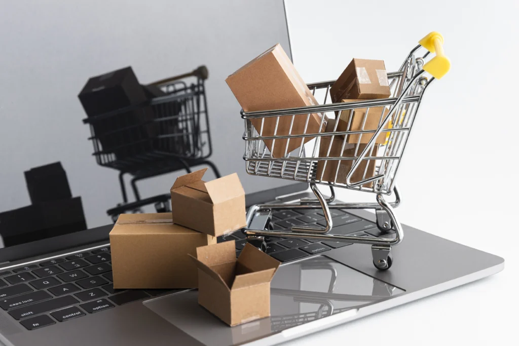 Ecommerce Website Developer in Ghaziabad project