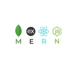 MERN Stack Websitte Developer