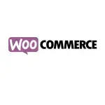 woocommerce website development service