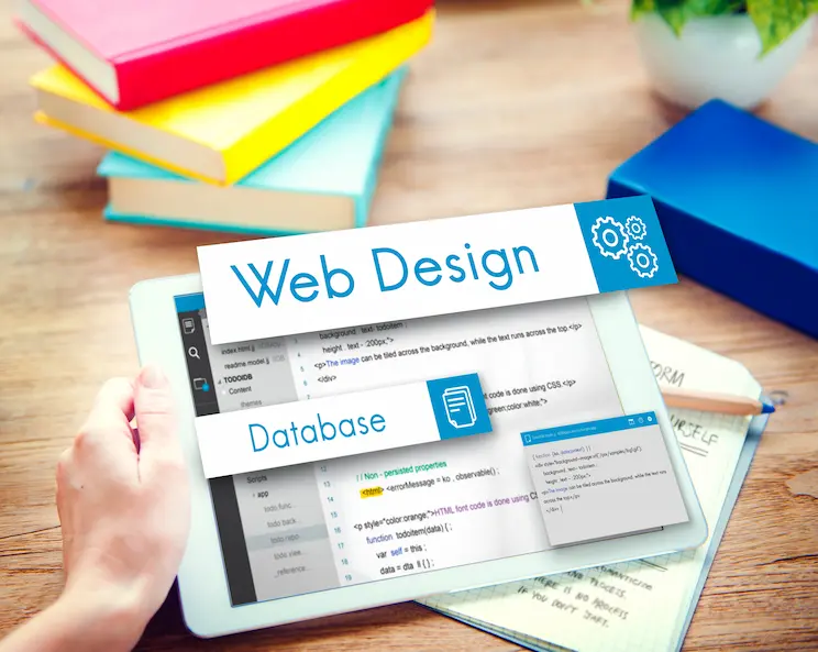 Website Developer in Delhi